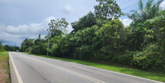 For Sale: Tanah Pertanian 3 ekar area Jelai Jalan Utama Johol-Bahau