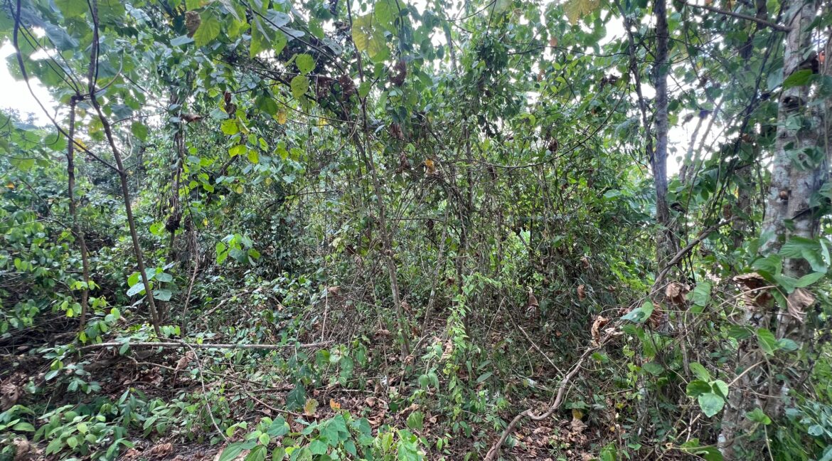 ejen hartanah kuala pilah-5