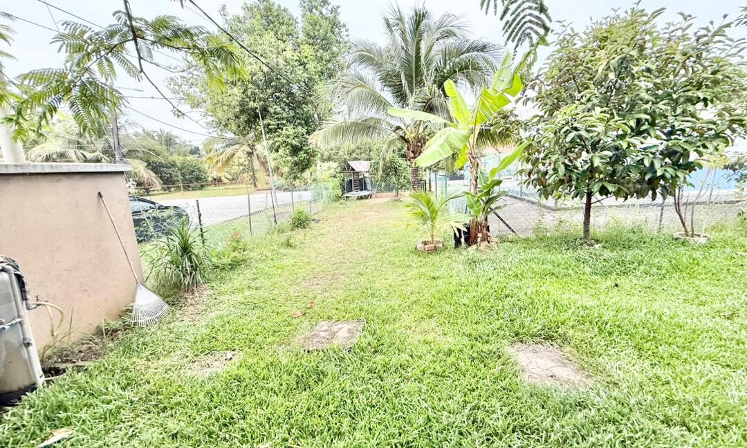 WhatsApp Image 2026-01-19 at 4.38.09 PM (2)