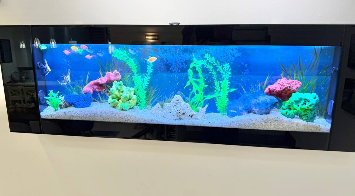 ejen hartanah denai alam-15