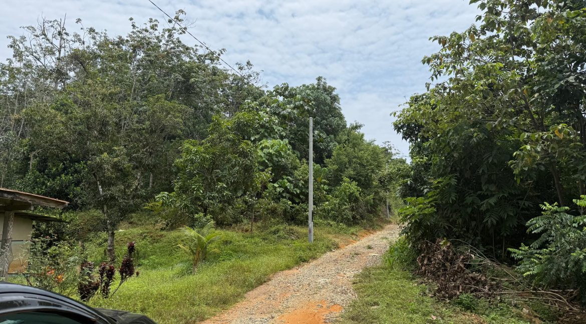 ejen hartanah terengganu-5